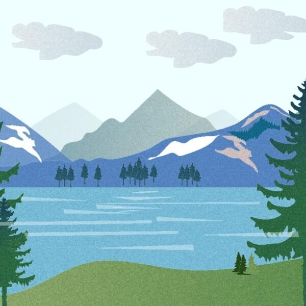 باقة ذات رقم محدود